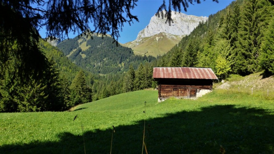 Sălaşele din zona Armeniș,în circuitul turistic din Munţii Ţarcu