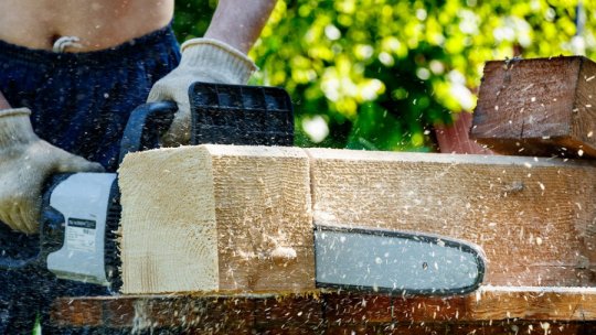 Top 12 idei de afaceri profitabile la țară