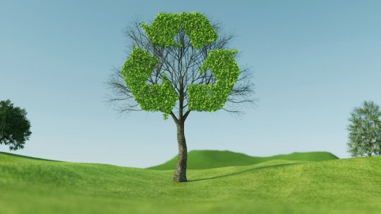 Antena Satelor îndeamnă: Reciclează hârtie și salvează pădurile României!