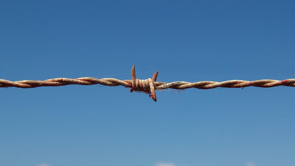 Noi puncte de trecere a frontierei vor fi deschise la graniţa cu Ucraina