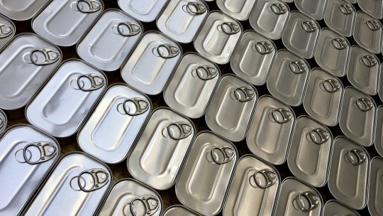 Măsuri luate de guvern pentru refugiații ucraineni care se află pe teritoriul României