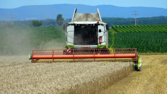 În Olt a început recoltarea cerealelor. Producţia medie, uşor mai scăzută faţă de 2021