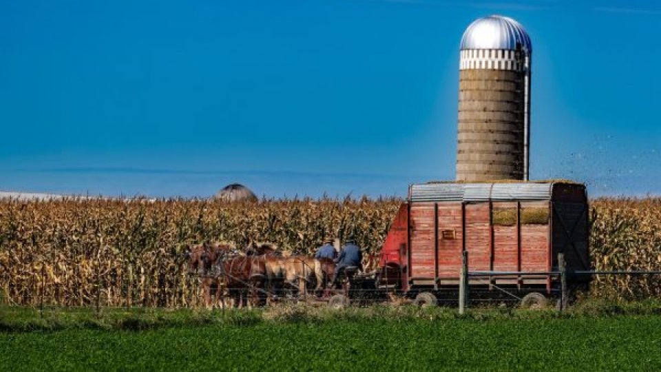 Ucraina se pregăteşte să înceapă recoltarea cerealelor, dar silozurile sunt deja pline