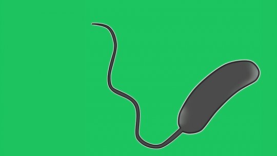 În probe de apă din Republica Moldova a fost depistată bacteria care provoacă holera