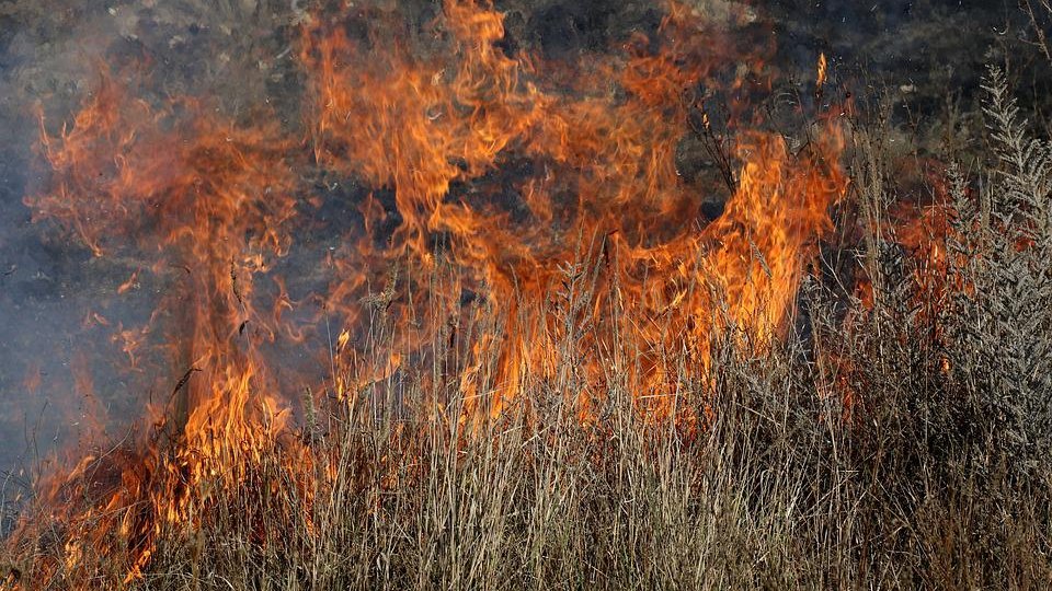 Pompierii atrag atenţia asupra incendiilor de vegetaţie uscată