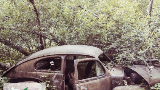 „Bye, bye, car!” - decarbonizarea transportului în marile oraşe europene