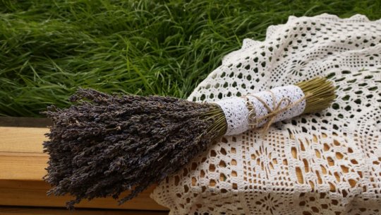 Rețete pentru sănătate și îngrijirea casei pe bază de levănțică