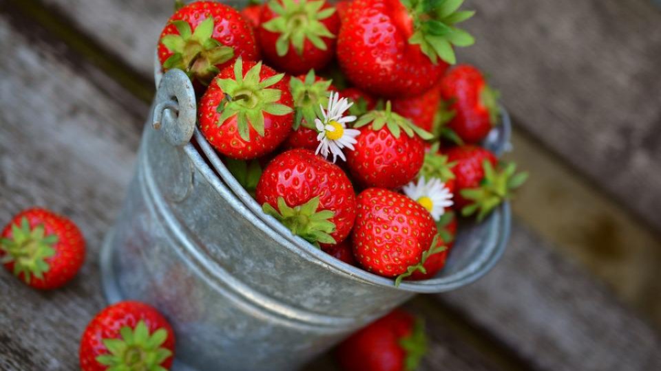 Dieta cu căpșuni, în profilaxia bolilor respiratorii