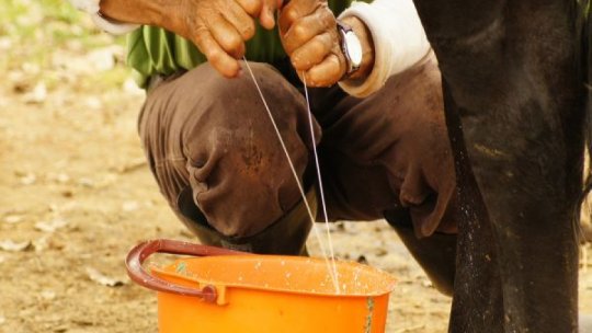 Fermierii pot accesa credite de la CEC prin Programul 'De trei ori subvenţii'