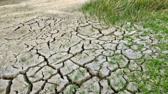 Peste 70.000 hectare din 14 judeţe sunt afectate de secetă