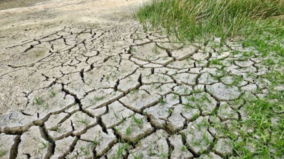 Peste 70.000 hectare din 14 judeţe sunt afectate de secetă