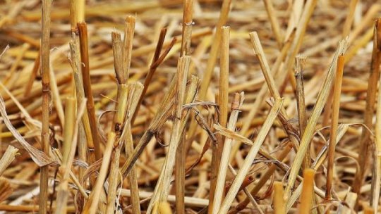 Avertizare: NU utilizaţi focul deschis pentru curăţarea terenurilor agricole