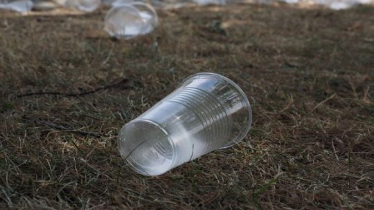 Pe litoral, 8 din 10 deşeuri aruncate la întâmplare de turişti sunt din plastic