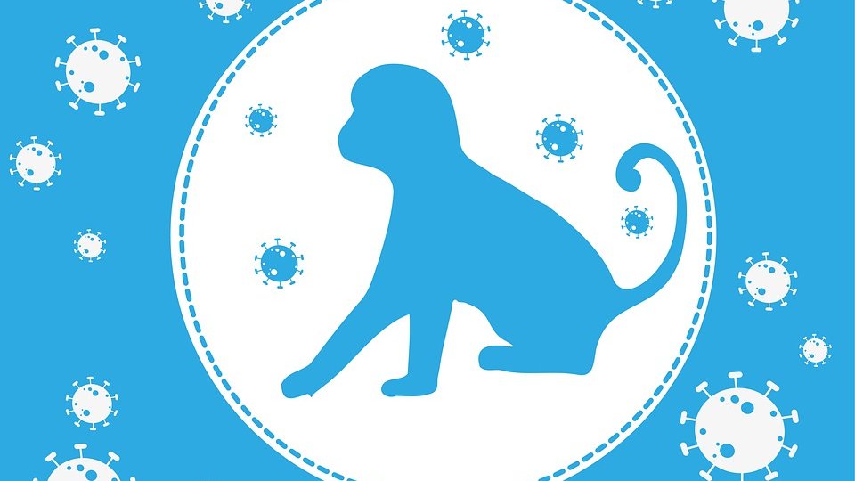 OMS: avertisment cu privire la cazurile de variola maimuţei în Europa
