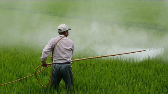 5 pesticide declarate cancerigene de către OMS