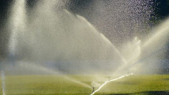 Seceta şi lipsa sistemelor de irigaţii, infrastructura rutieră deficitară, provocări majore pentru producătorii agricoli