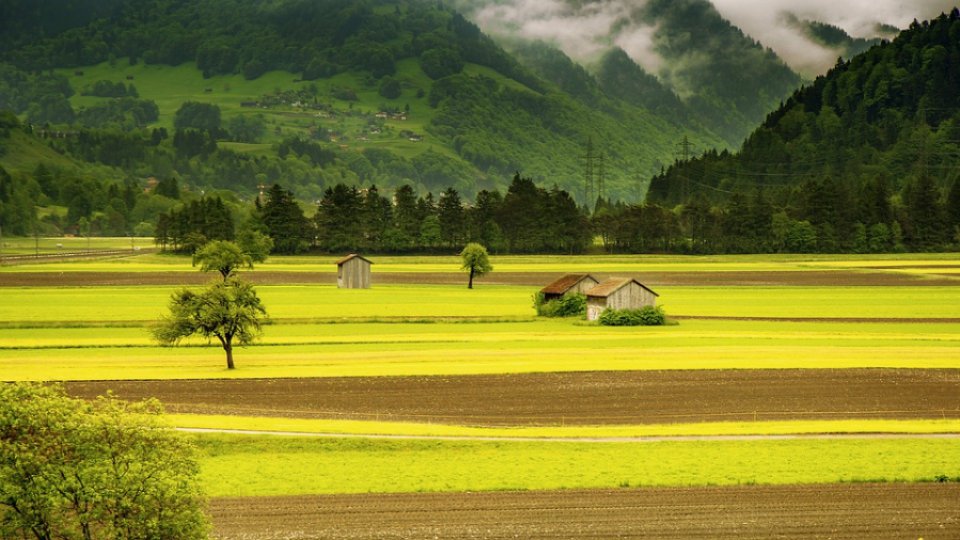 Legea vânzării terenurilor agricole din extravilan, la CCR