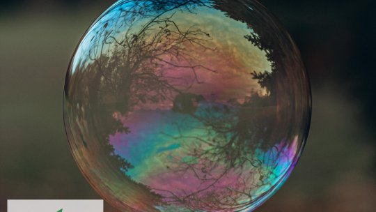 Cât de prietenoşi cu mediul sunt dezinfectanţii?