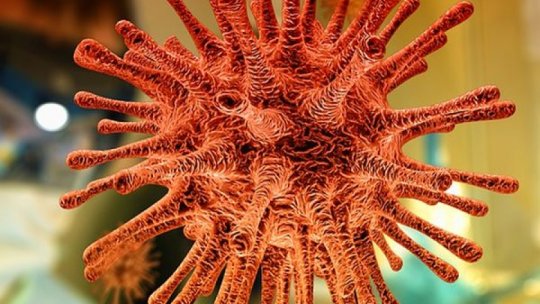Un nou virus, Langya, identificat în China. Au fost semnalate zeci de cazuri