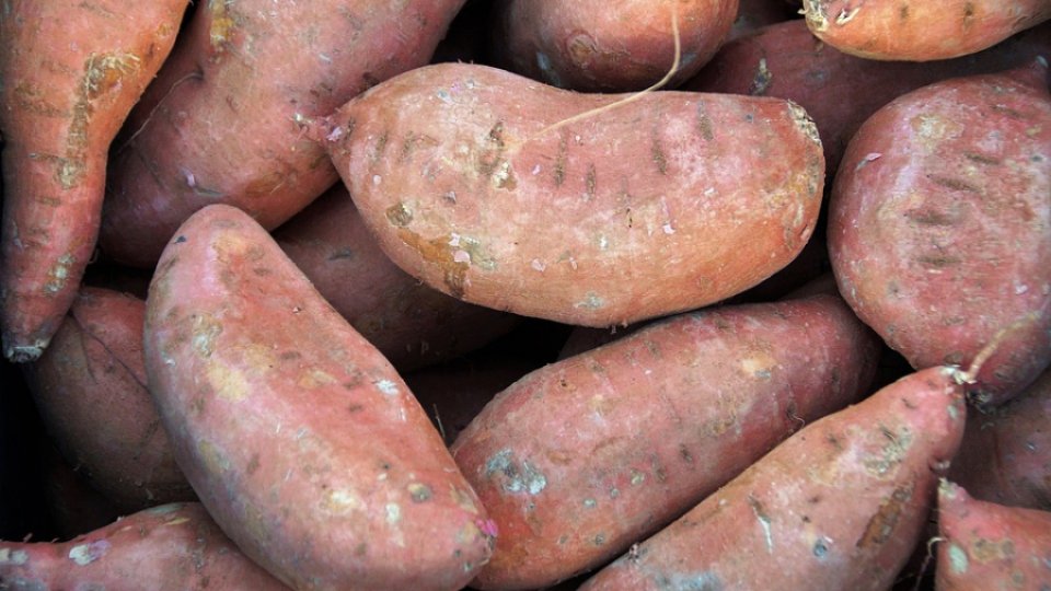 Cele 4 virtuți ale cartofilor dulci