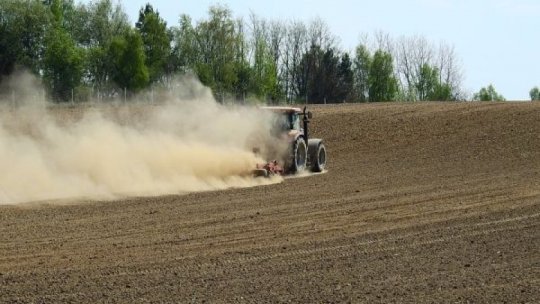 Suprafaţa agricolă afectată de secetă a crescut la peste 680.000 hectare