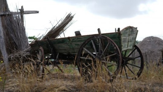 Sărbătoarea Deltei la Muzeul ASTRA