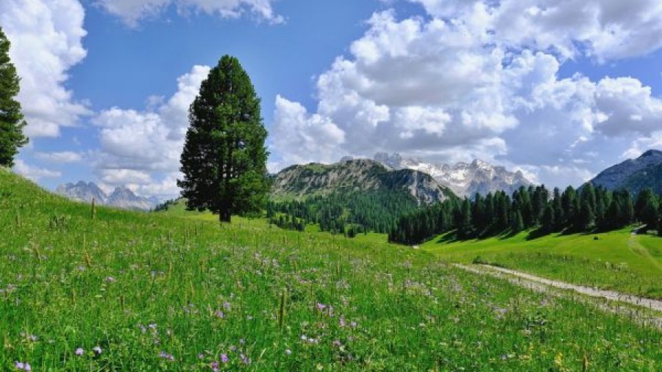 Turismul rural, afectat de lipsa zăpezii din această iarnă