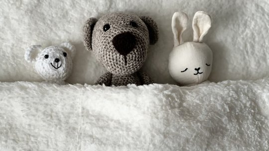 Autorităţile îşi propun să închidă peste 50 de centre de plasament