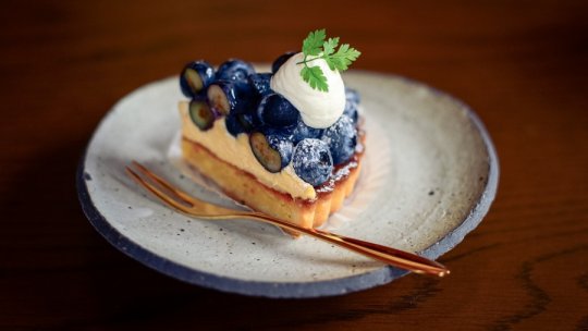 Tartă cu iaurt, afine și lămâie verde