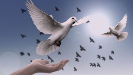 Kremlinul respinge afirmaţiile Kievului că Rusia ar exercita presiuni pentru un posibil acord de pace