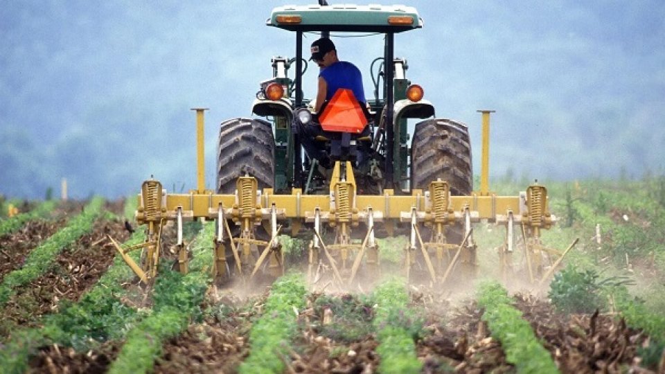 Răspunsuri cu privire la agricultura regenerativă