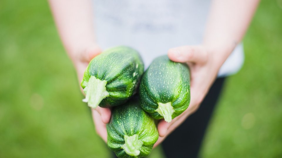 Cum pot start-up-urile să facă față provocărilor gestionării resurselor naturale pentru lanțuri de aprovizionare durabile în agricultură și silvicultură?