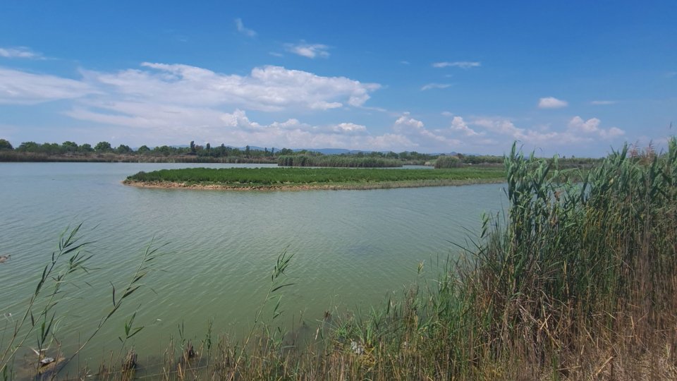 Folosirea năvoadelor şi a setcilor, interzisă în Rezervaţia Biosferei Delta Dunării
