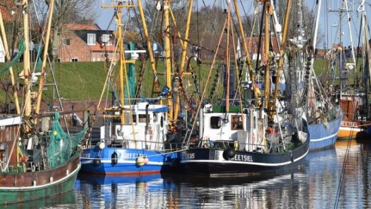 Pescarii din Deltă cer compensaţii pe fondul războiului din Ucraina