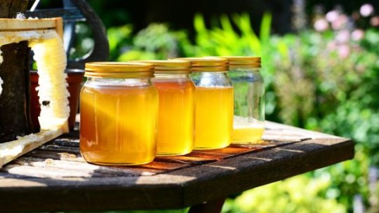Legea apiculturii, modificată. Țara de originea mierii va trebui să fie afişată vizibil pe etichetă