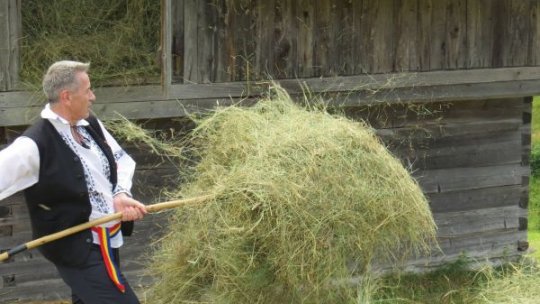 România se află în topul ţărilor din UE cu cea mai ridicată pondere a exploataţiilor agricole familiale