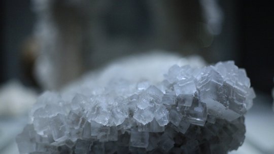 Parlamentul European găzduieşte o expoziţie despre salina preistorică de la Provadia