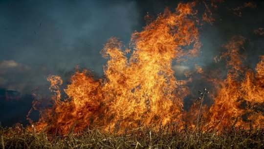 Pompierii continuă operaţiunile pentru stingerea incendiului de vegetaţie de la Dumitreşti, izbucnit încă de vineri