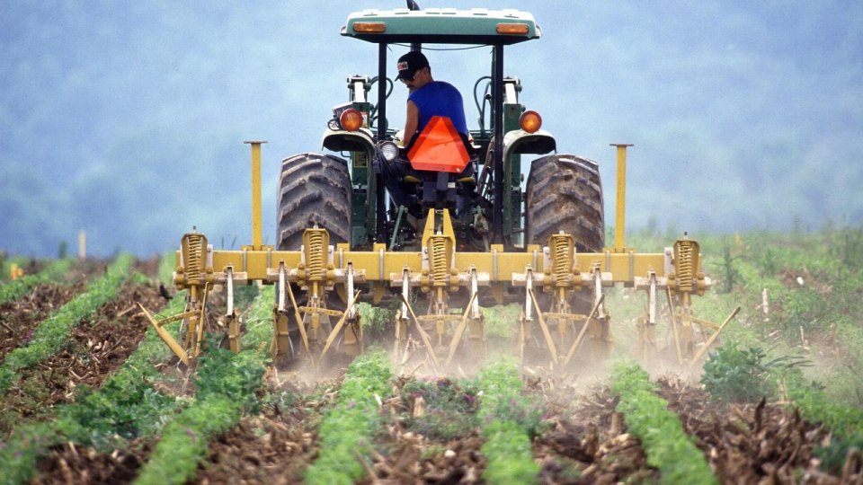 Guvernul a aprobat noile valori ale salariului minim în construcţii, agricultură şi industria alimentară