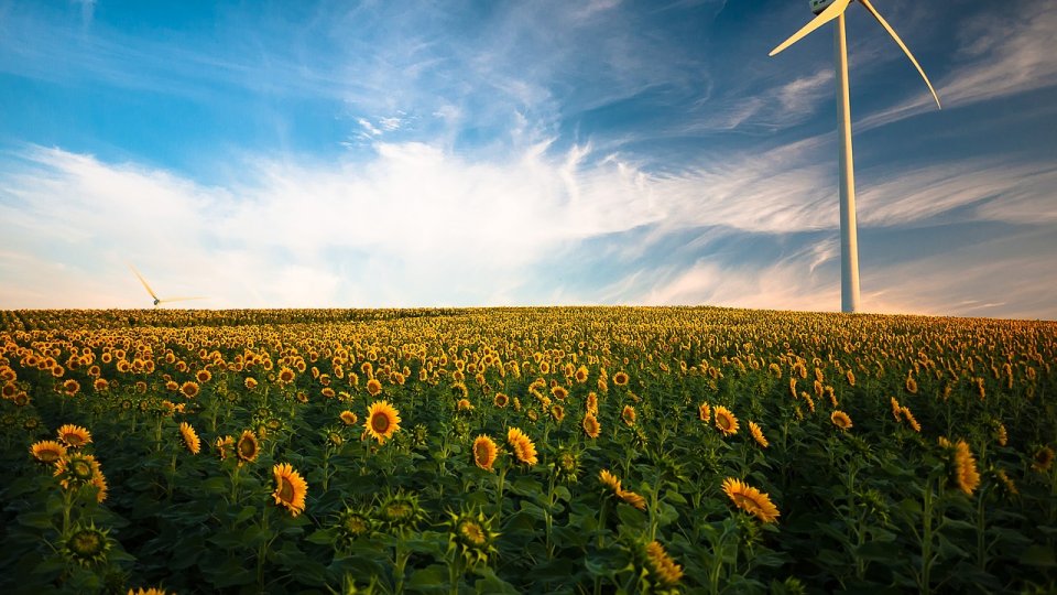 România este a doua ţară în regiune din perspectiva potenţialului de energie verde