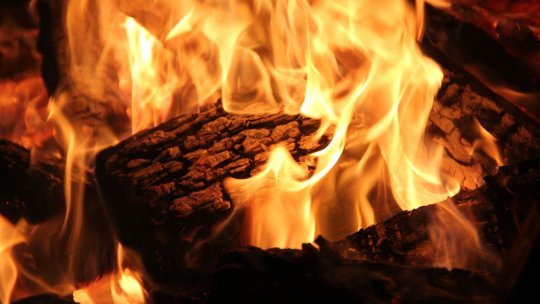 Familiile aflate în dificultate vor primi lemne de foc de la stat pentru a-şi încălzi locuinţele pe timpul iernii