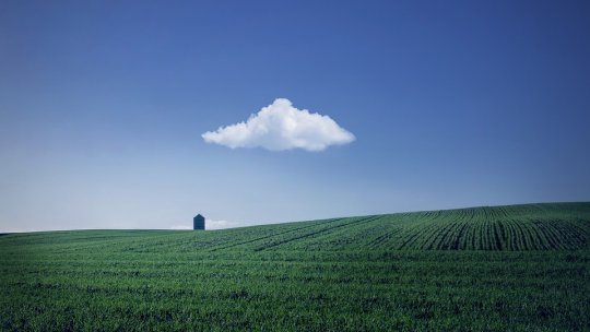 Ministrul Agriculturii participă luni, la Bruxelles, la Consiliul Agricultură şi Pescuit