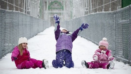 Orele cu prezenţă fizică se vor relua, de marţi, în judeţele Brăila, Călăraşi, Constanţa, Galaţi şi Tulcea