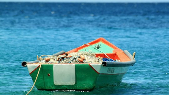 Pescarii din Deltă solicită să fie implicaţi în paza resursei piscicole, pentru a se proteja de braconieri