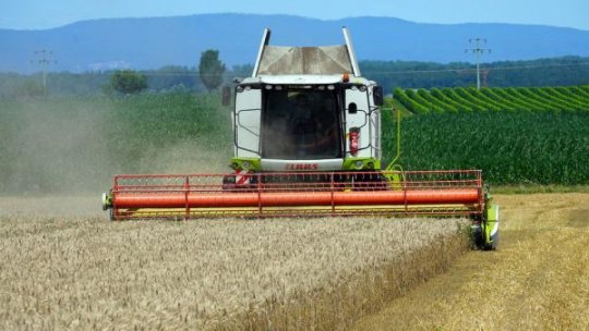 România se află în topul celor mai mari producători de cereale din UE