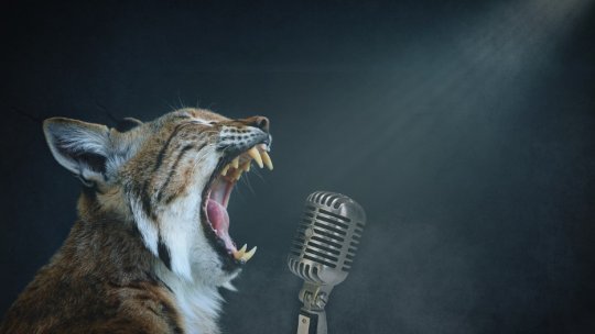 Mi-am pierdut vocea! Ce e de făcut?