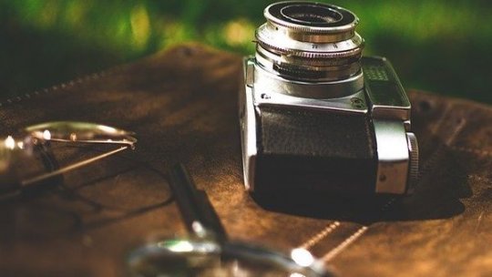 Incident la grădina zoologică: Un urs a smuls telefonul mobil din mâna unui vizitator