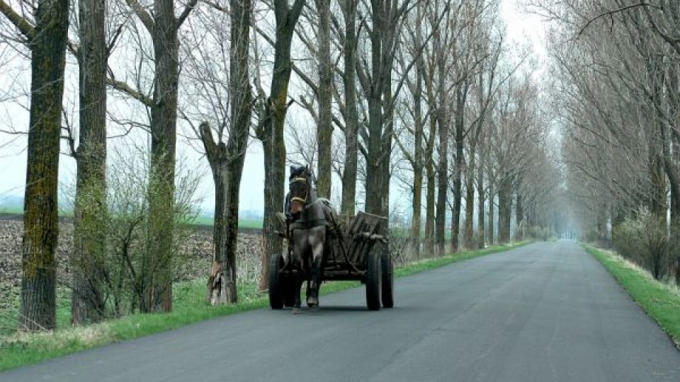 Un bărbat a murit, după ce a fost strivit de o căruţă pe un drum în pantă