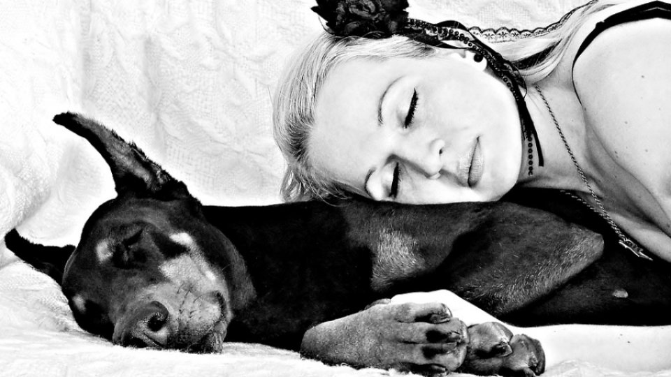De ce să dormi în pat cu câinele tău? 5 motive sănătoase