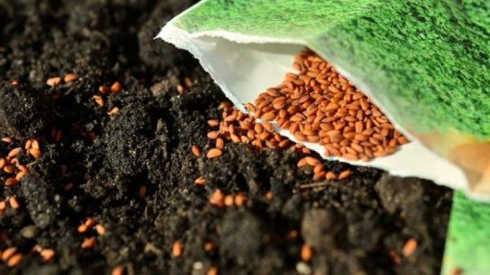 Dreptul la semințe țărănești, campanie a Asociației Eco Ruralis